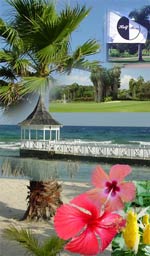 Jamaica!
