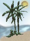 Palm Trees