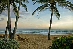 Rio Mar Beach Resort - Accommodations Rio Mar Beach Resort - Accommodations