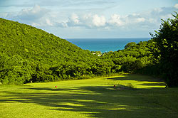 Cedar Valley Golf Club - Antigua Golf Course