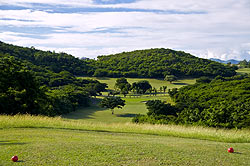 Cedar Valley Golf Club - Antigua Golf Course