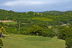 Cedar Valley Golf Club - Antigua Golf Course