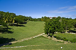 Cedar Valley Golf Club - Antigua Golf Course