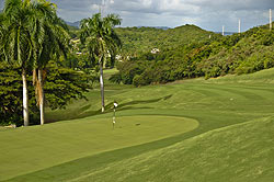 El Conquistador Golf Club - Puerto Rico Golf Course