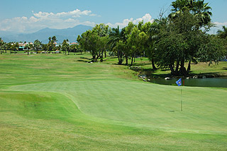 El-Tigre_0136-2