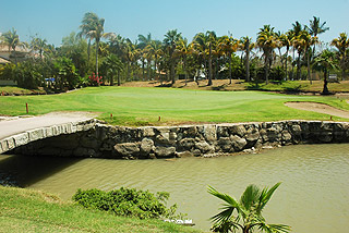 El-Tigre_0155-7