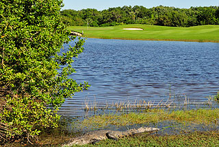 Moon Palace Golf Club