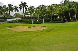 Rio Mar Country Club - Ocean Course - Puerto Rico Golf Course Review
