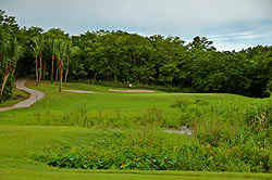 Rio Mar Country Club - River Course - Puerto Rico Golf Course Review