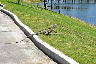 Vidanta-Norman_0063-3